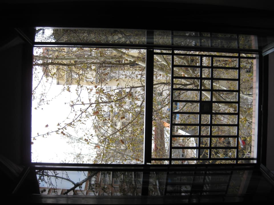 Ausblick auf Baum mit Bommeln Leonardo Hotel Madrid City Center