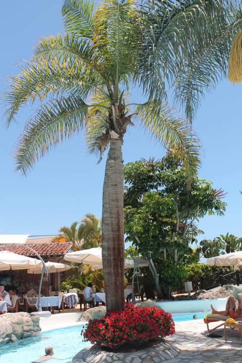 Blick auf das Poolrestaurant Adrián Hoteles Jardines de Nivaria