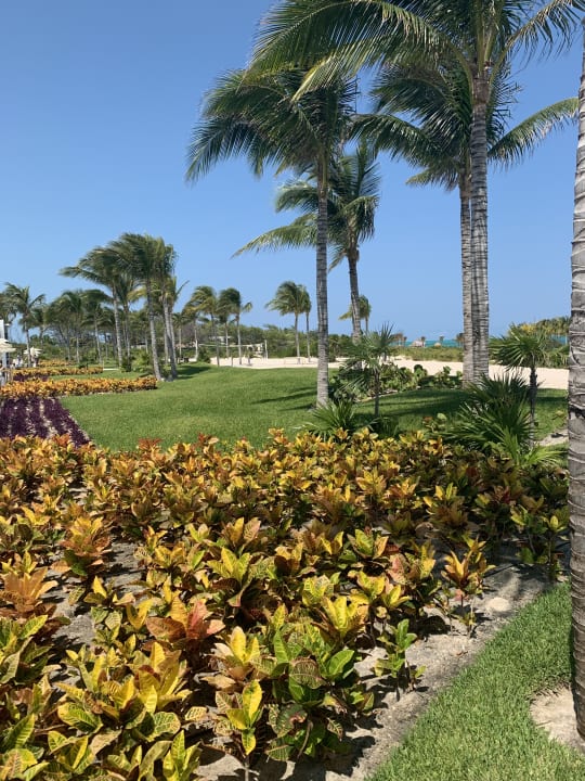 Außenansicht Hotel Riu Dunamar