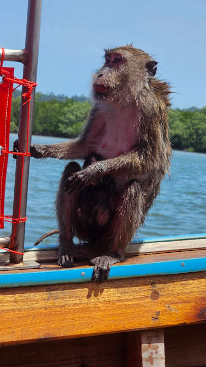 Sport & Freizeit The Lazy Lodge