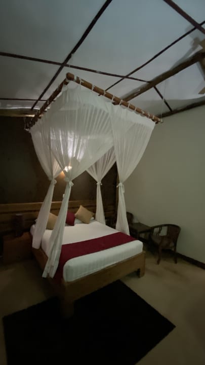 Zimmer Pakuba Safari Lodge