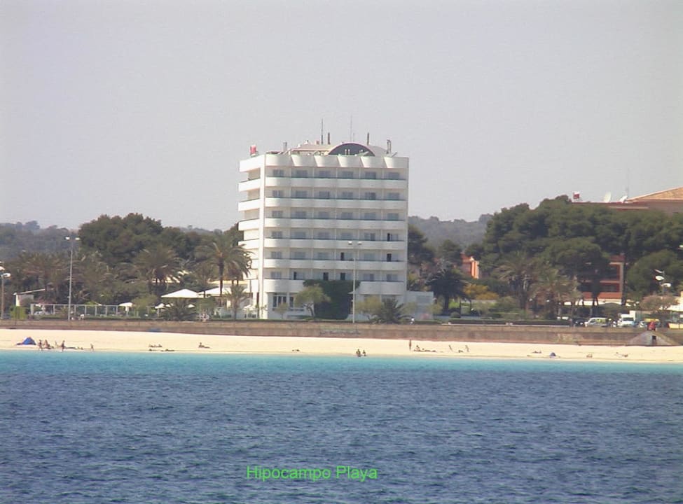 Ostseite des Hotels Hipotels Hipocampo Playa
