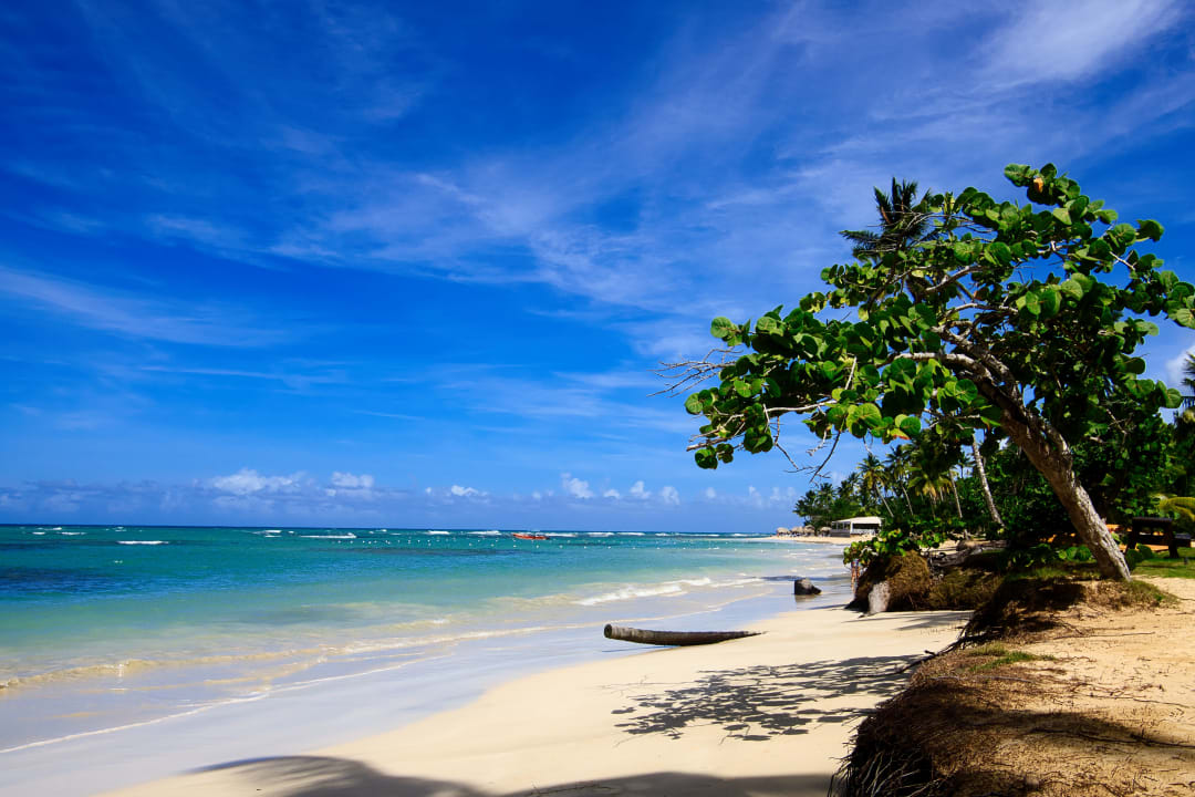 Strand Bahia Principe Grand El Portillo