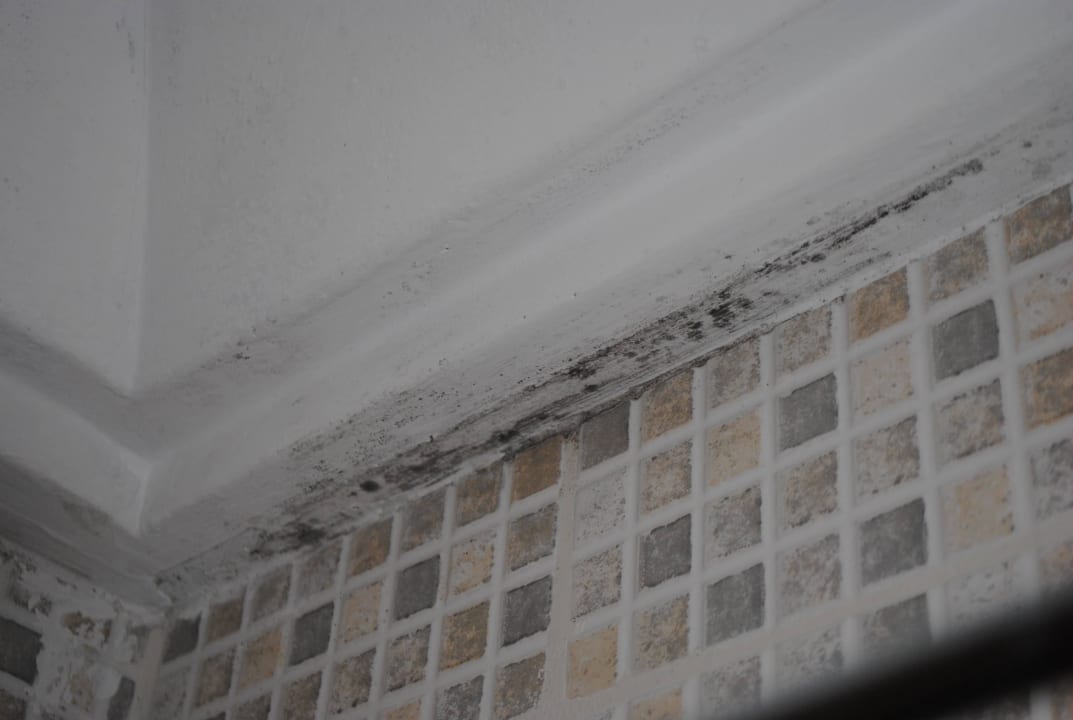 Haare, Schimmel, Dreck, Staub u.s.w. Grand Yazici Club Marmaris Palace