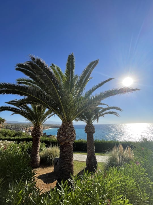 Gartenanlage Iberostar Waves Creta Panorama & Mare