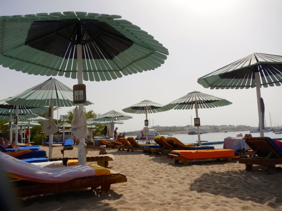 Der Strand Ghazala Beach