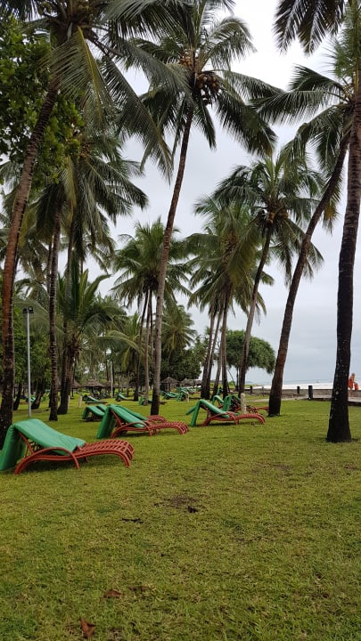 Gartenanlage Neptune Village Beach Resort & Spa