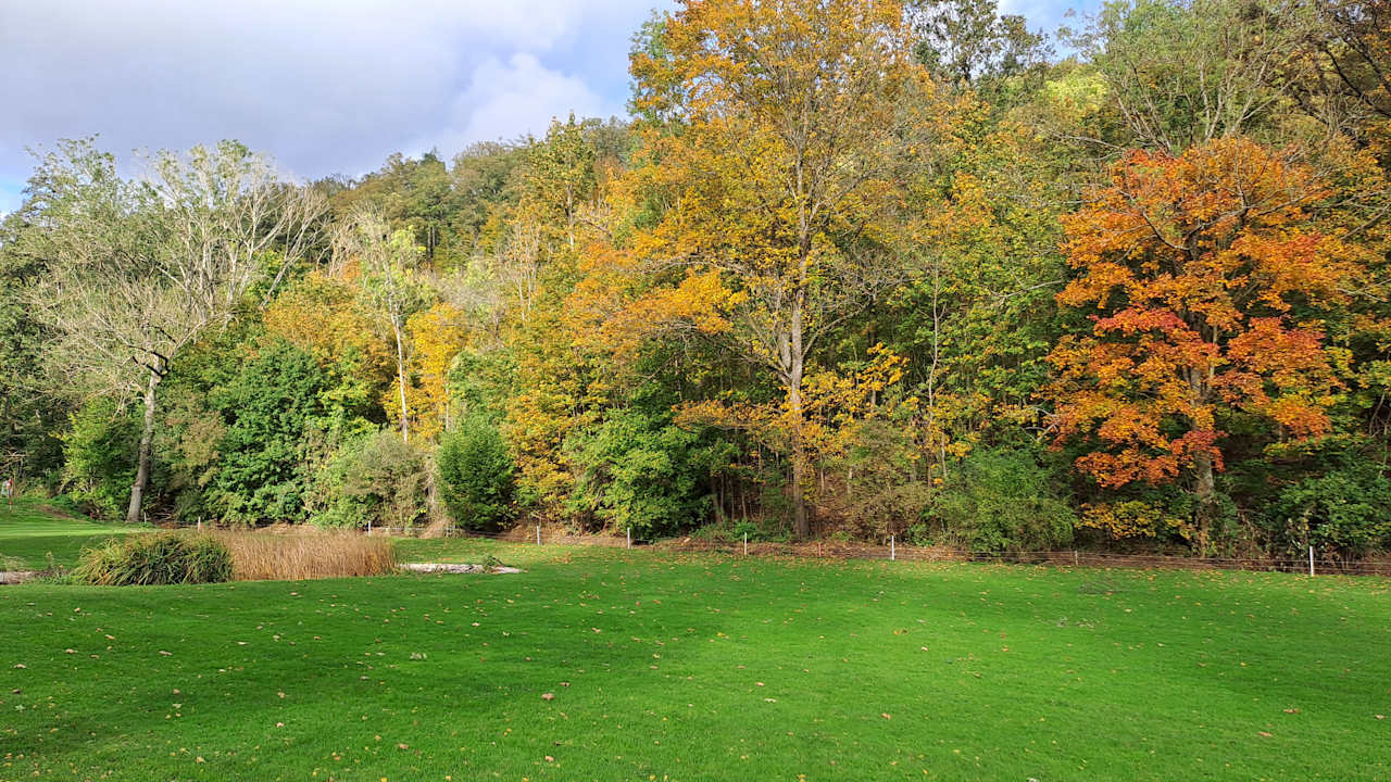 Sport & Freizeit Vitalhotel König am Park