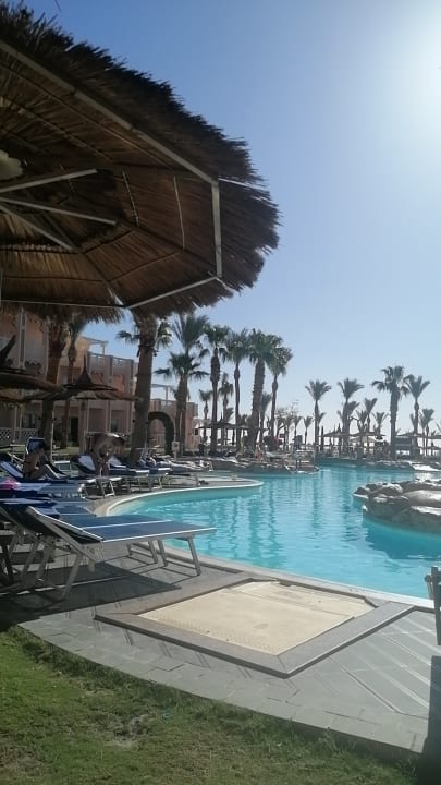 Pool Pickalbatros Palace Resort