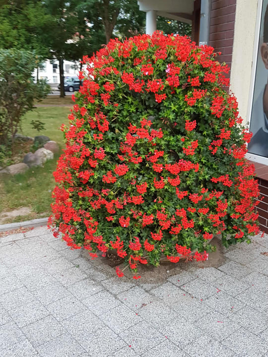 Sonstiges Grand Lubicz – Uzdrowisko Ustka