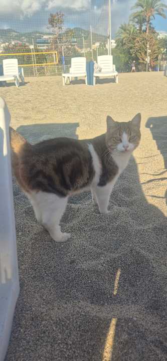 Sonstiges Hotel Kahya