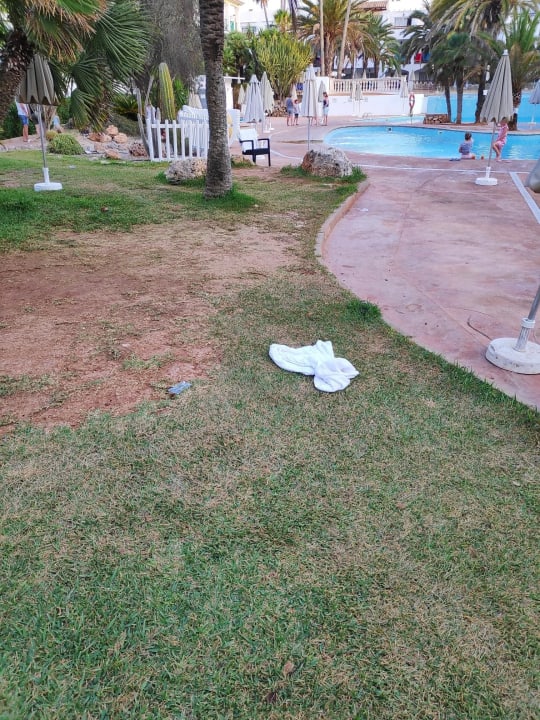 Gartenanlage Calimera Fido Gardens