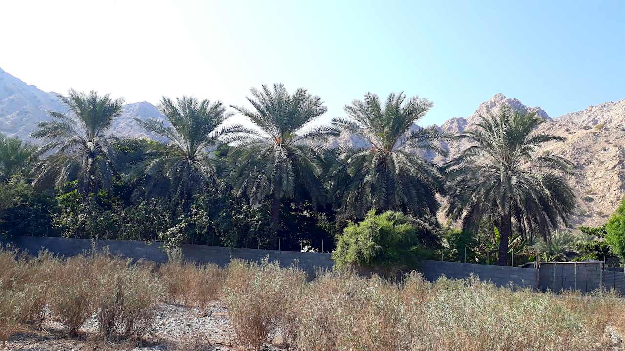 Sport & Freizeit Rubba Luxury Yacht