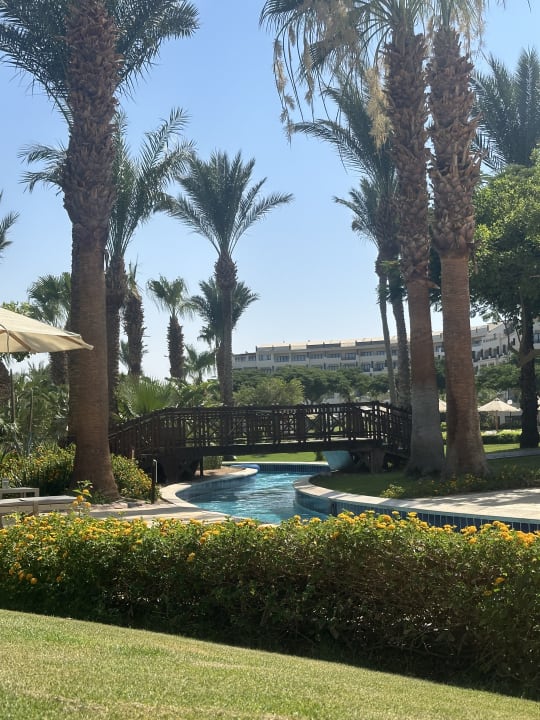 Gartenanlage Steigenberger ALDAU Beach Hotel