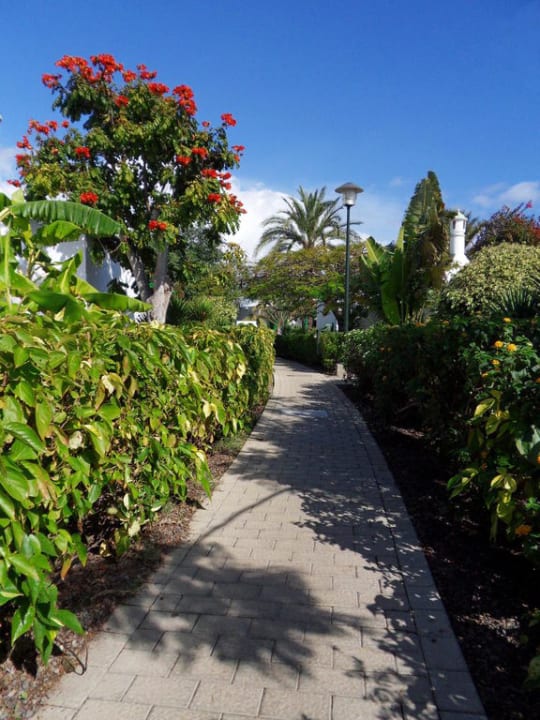 Rund ist die Welt Bungalows Cordial Sandy Golf