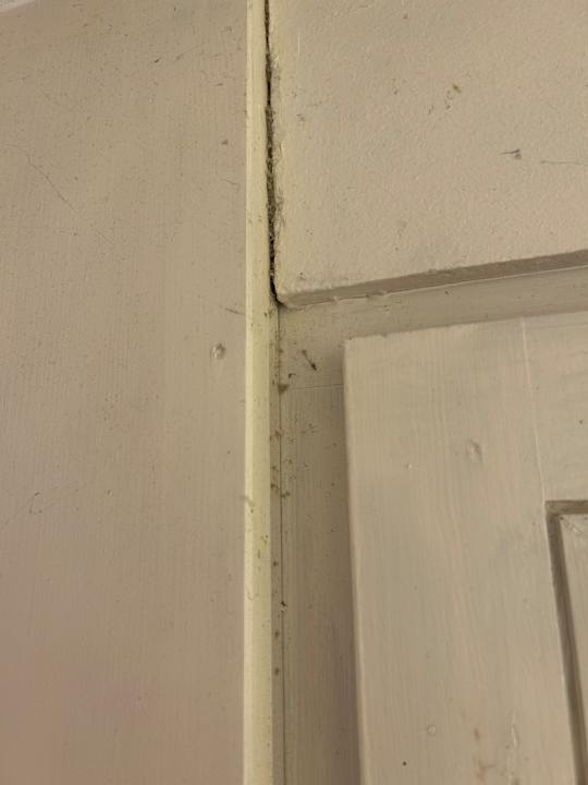 Zimmer Weinhotel Pfeffer & Salz