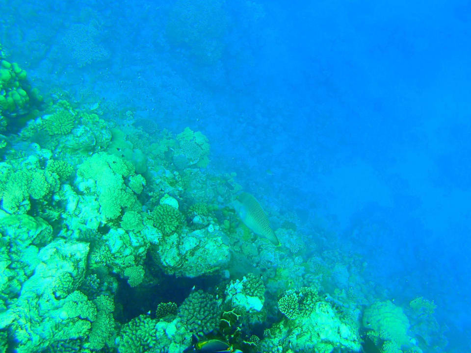 Napoleon Three Corners Equinox Beach Resort