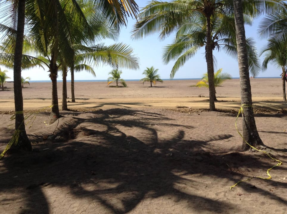 Blick vom Tor zum Strand Hotel Pochote Grande
