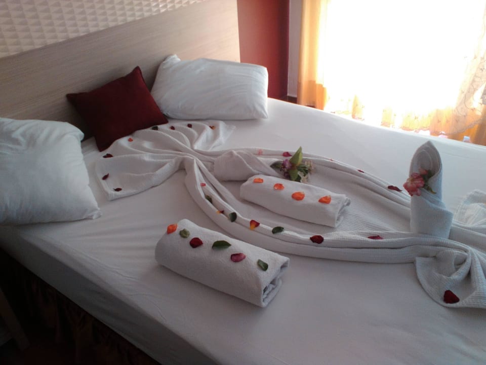 Sehr schön Hotel Ideal Beach