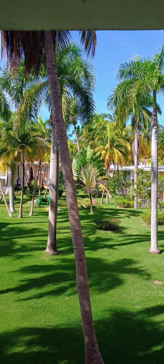 Gartenanlage Playabachata Hotel