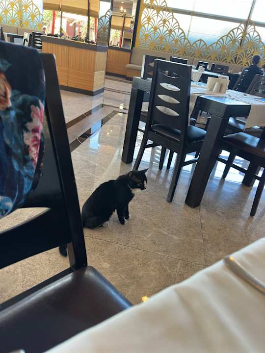 Gastro Siam Elegance Hotels & Spa