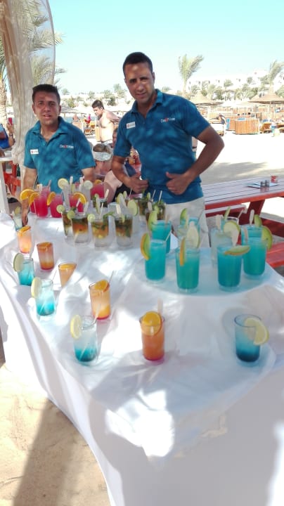 Sonstiges Desert Rose