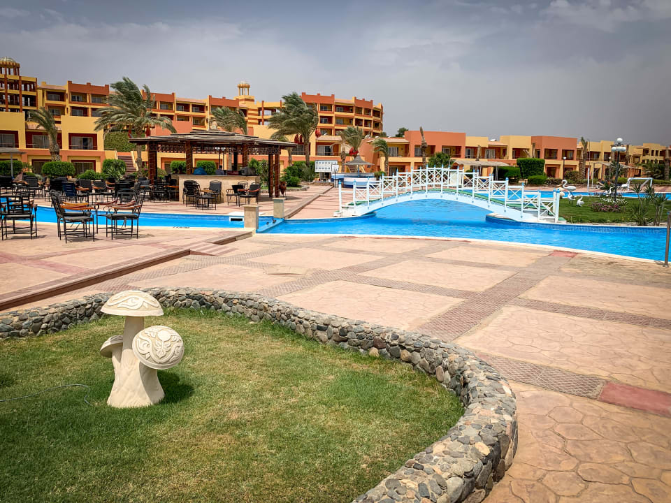 Pool Malikia Resort Abu Dabbab