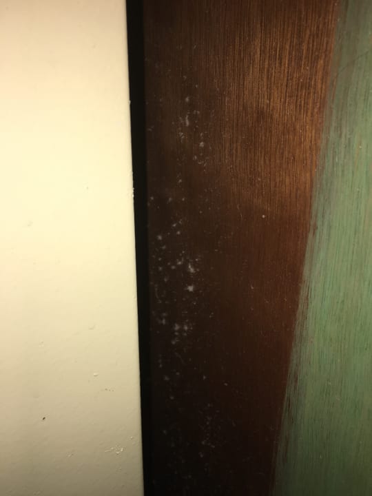 Zimmer Giftun Azur Resort