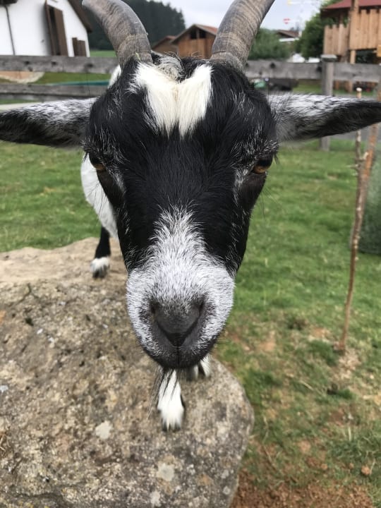 Sonstiges Familienferienhof Wenighof