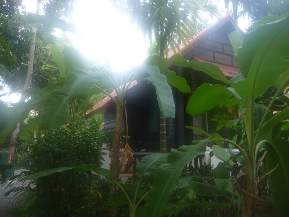 Bungalow NH Collection Samui Peace Resort