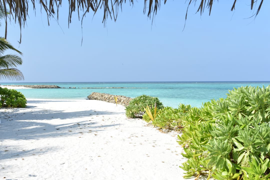 Strand Summer Island Maldives