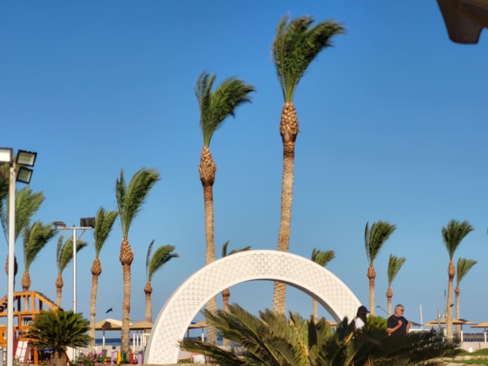 Gartenanlage Pickalbatros Royal Moderna Resort-Sharm El Sheikh