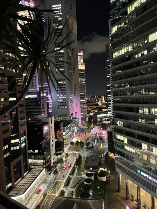 Ausblick Hotel Ascott Singapore Raffles Place