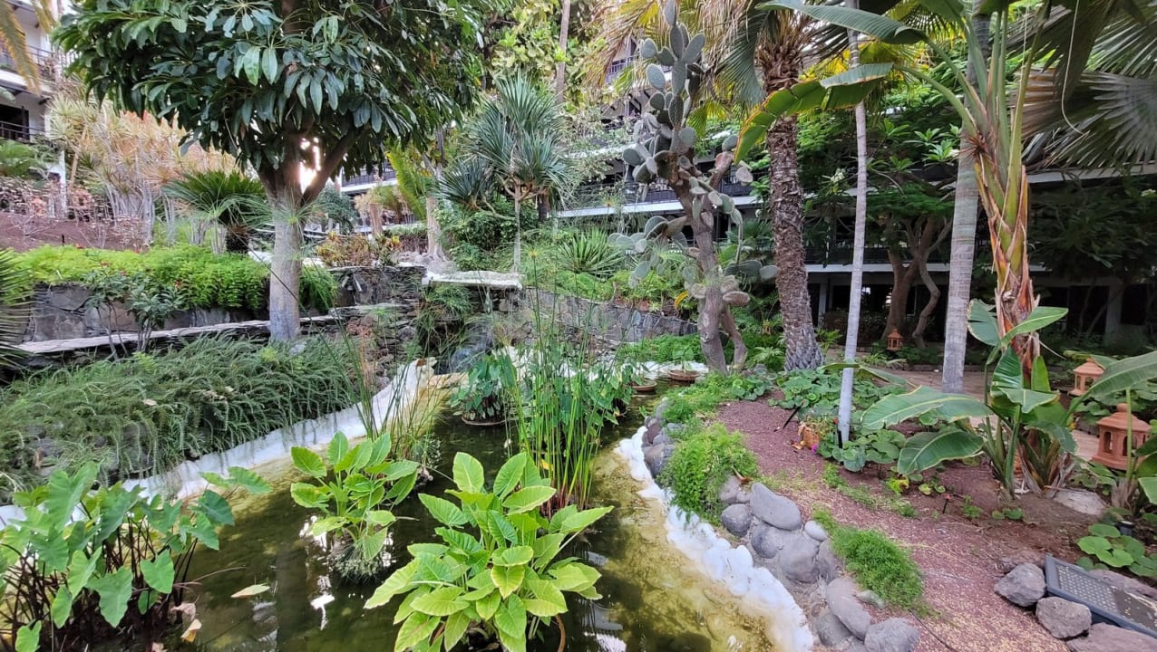 Gartenanlage Hotel Parque Tropical