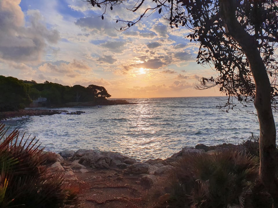 Ausblick Iberostar Waves Pinos Park