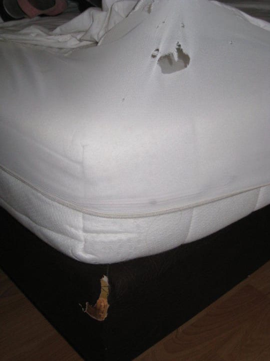 No comments Hotel Bel-Air