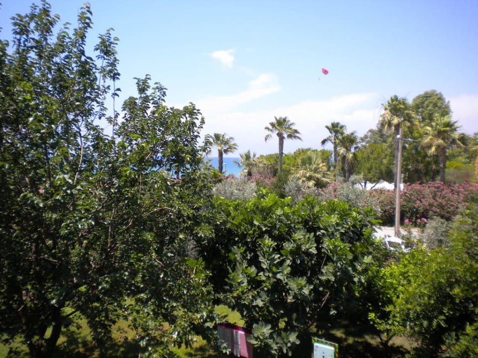Blick vom Balkon Hotel Defne Star