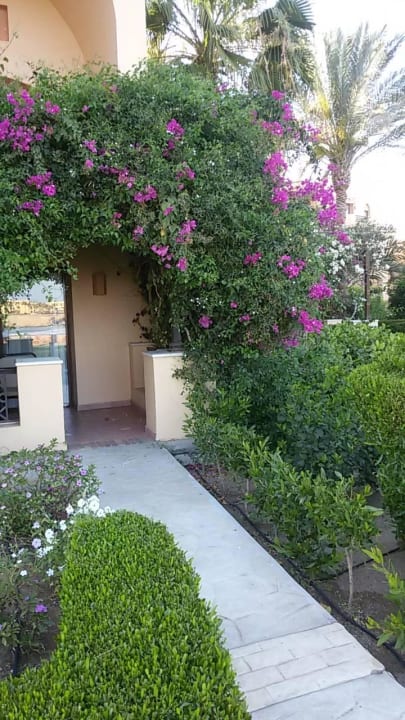 Geschützee Terrasse Steigenberger Coraya Beach - Adults only