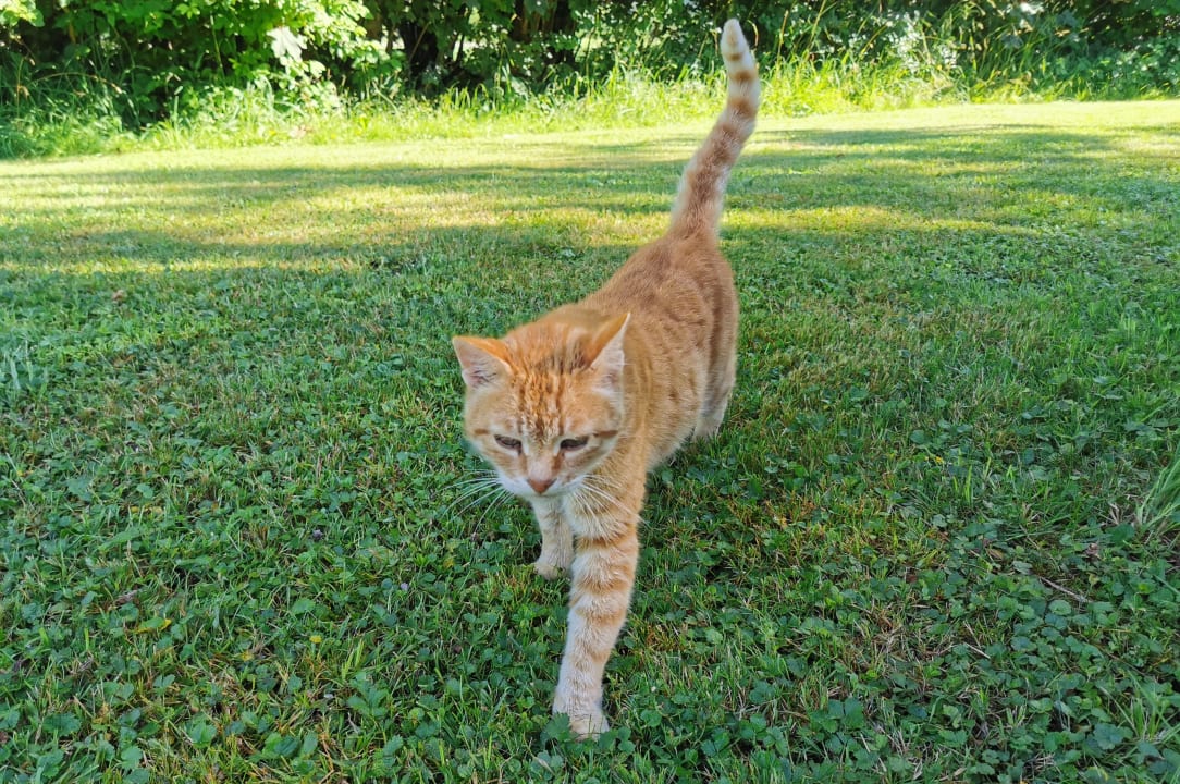 Außenansicht Ferienwohnungen Doblerhof