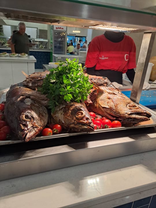 Gastro Dream Fun World