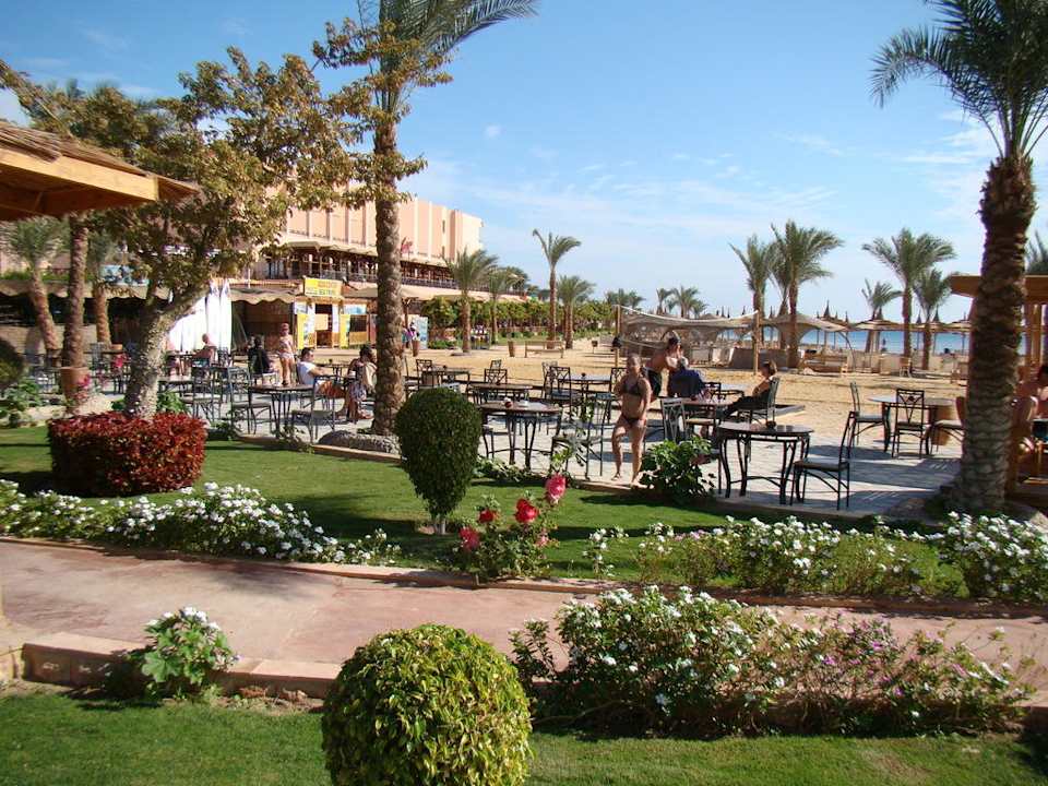 Сад Pickalbatros Palace Resort