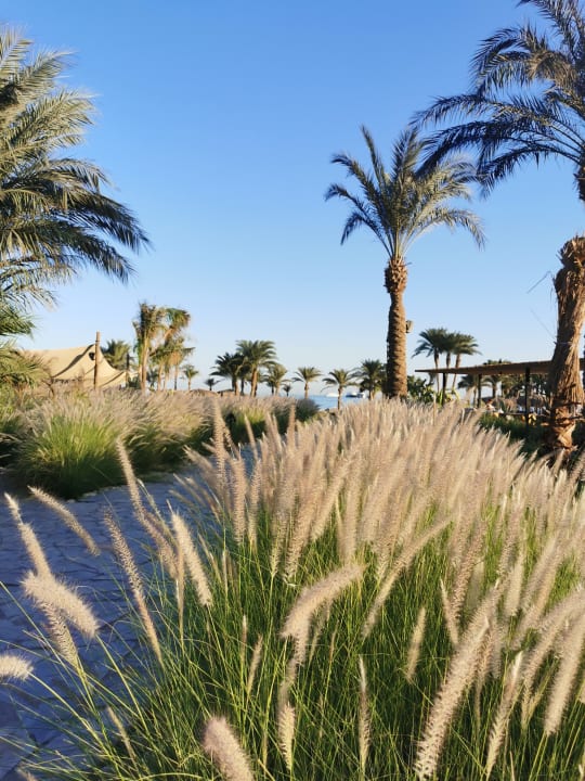 Gartenanlage Serry Beach Resort