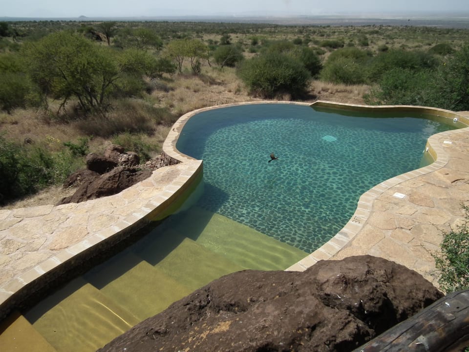 Pool im Haupthaus Satao Elerai Camp
