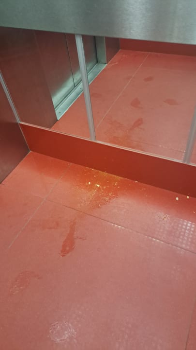 Sonstiges Las Palmeras Affiliated by FERGUS