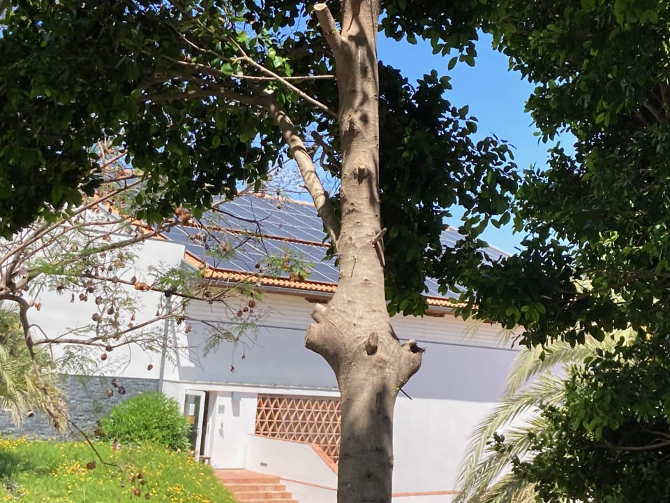 Sonstiges ROBINSON QUINTA DA RIA