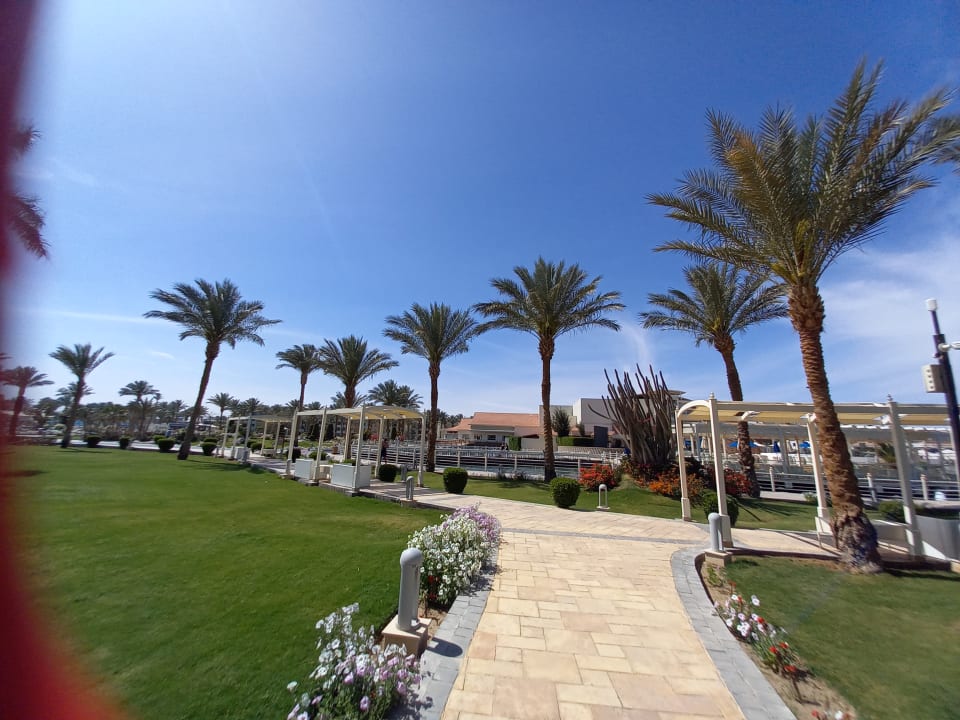 Gartenanlage Pickalbatros Dana Beach Resort - Hurghada