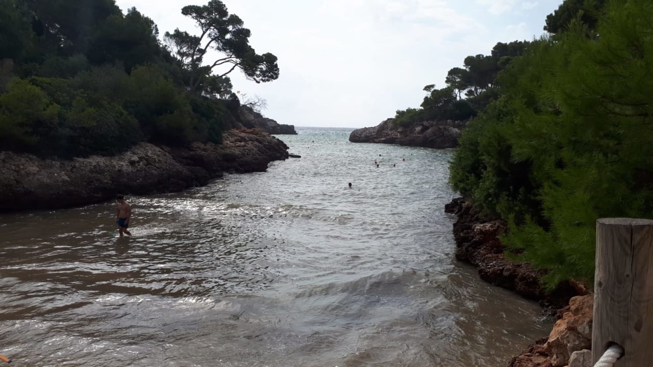Strand Calimera Fido Gardens