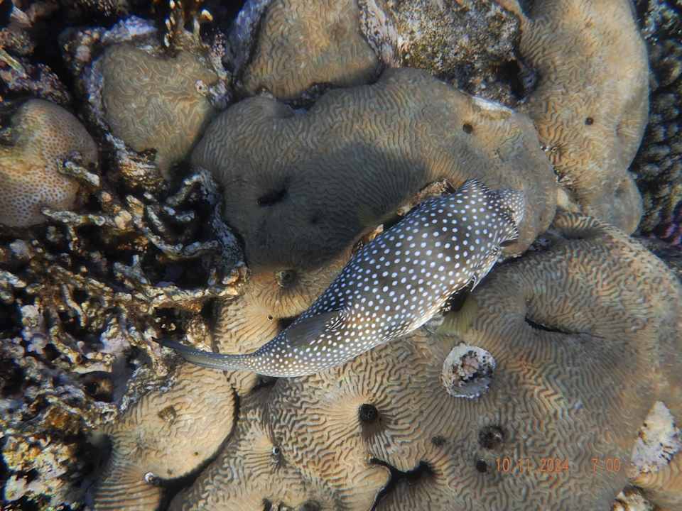 Strand Casa Mare Resort