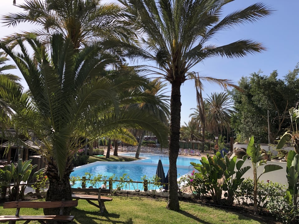 Pool HL Miraflor Suites Hotel