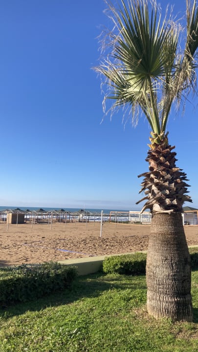 Ausblick Adalya Ocean Deluxe